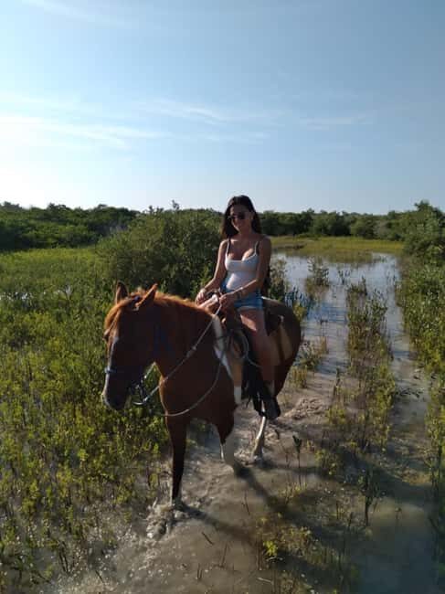 Horseback Adventure in Holbox - What the Reviews Say