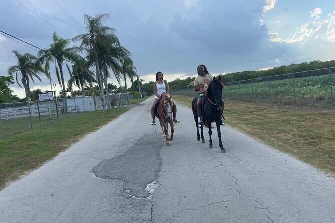 Horseback Experience in Miami - An Overview of the Miami Horseback Experience