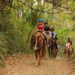 Horseback Riding Adventure in Punta Mita Nayarit - A Complete Breakdown of the Tour Experience