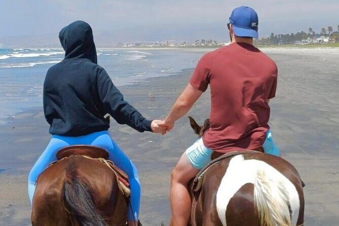 Horseback Riding And a Visit to La Bufadora Ensenada - FAQ