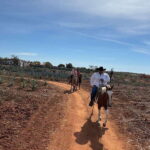 Horseback riding and Temazcal combo with lunch and mezcal - What to Expect and Tips