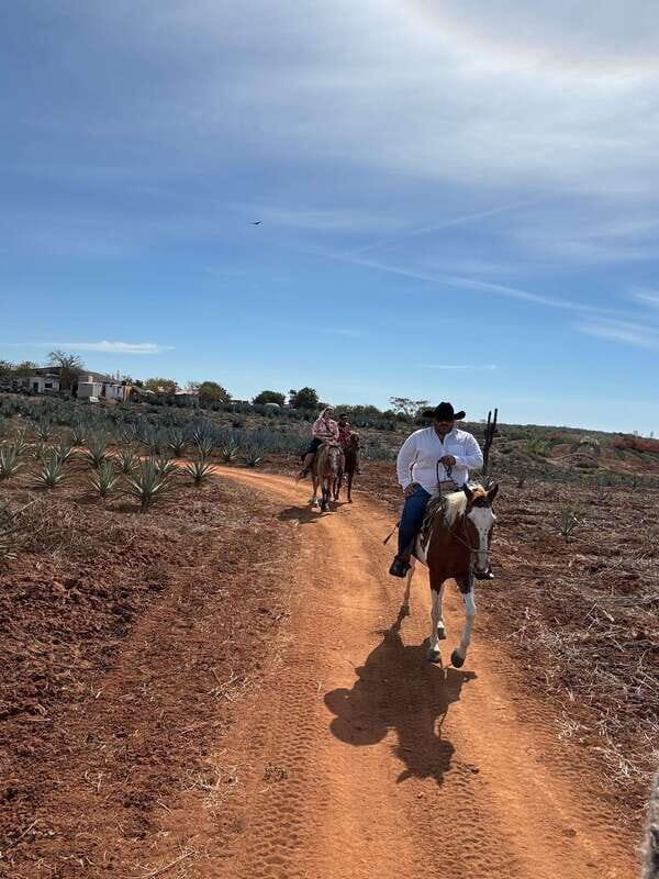 Horseback riding and Temazcal combo with lunch and mezcal - What to Expect and Tips