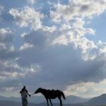 Horseback riding in Dilijan - The Itinerary in Detail