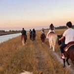 Horseback Riding in Miami - The Value of the Experience