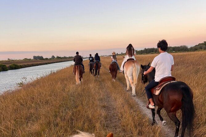 Horseback Riding in Miami - The Value of the Experience
