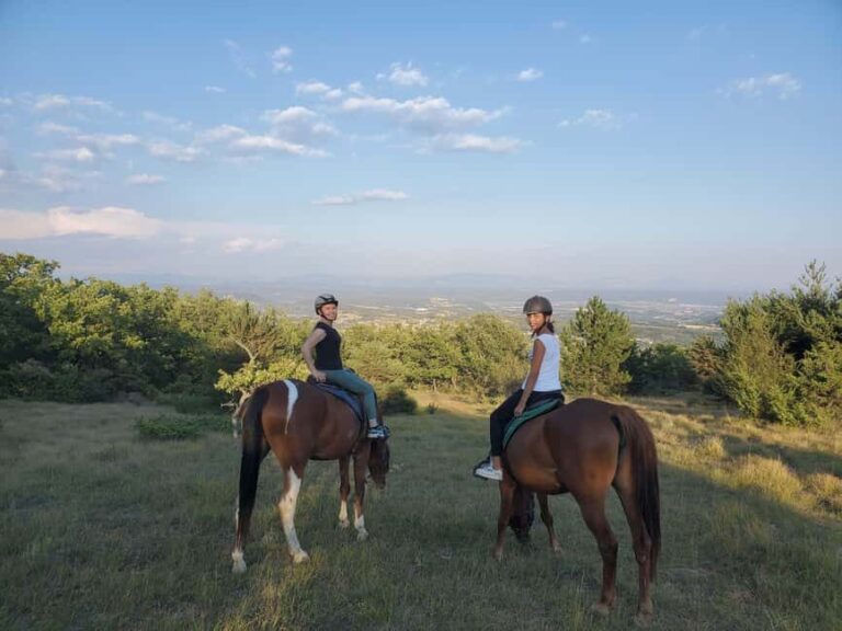 Horseback riding in Provence Luberon - What to Expect on the Ride