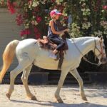 Horseback Riding in Sayulita - Why This Tour Is Worth Considering