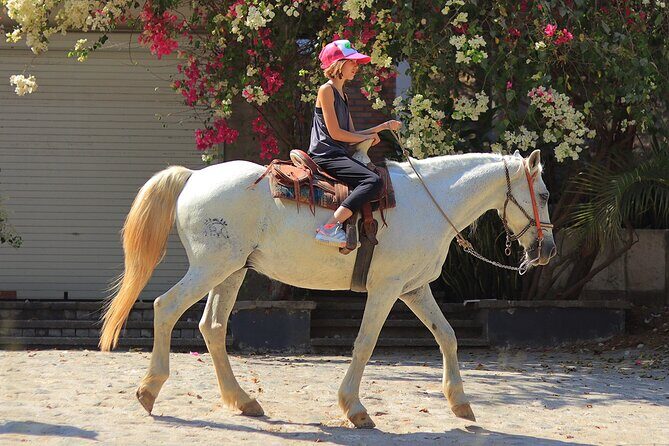 Horseback Riding in Sayulita - Why This Tour Is Worth Considering