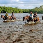 Horseback Riding to Maimon River from Punta Cana - The Real Value of This Tour