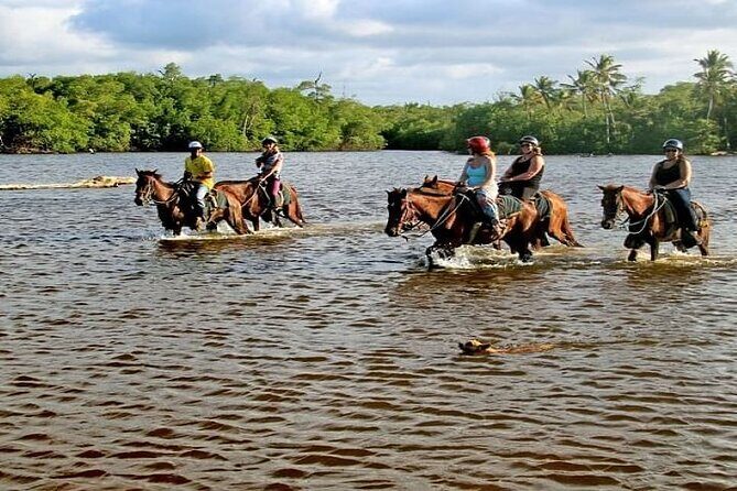 Horseback Riding to Maimon River from Punta Cana - The Real Value of This Tour