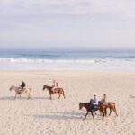 Horseback Riding Tour on the Beach in Puerto Escondido - Authentic Insights from Past Participants