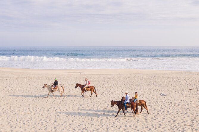 Horseback Riding Tour on the Beach in Puerto Escondido - Authentic Insights from Past Participants