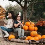 Hounslow: Pumpkin Patch Plus Entry to Hobbledown Heath - The Experience Breakdown