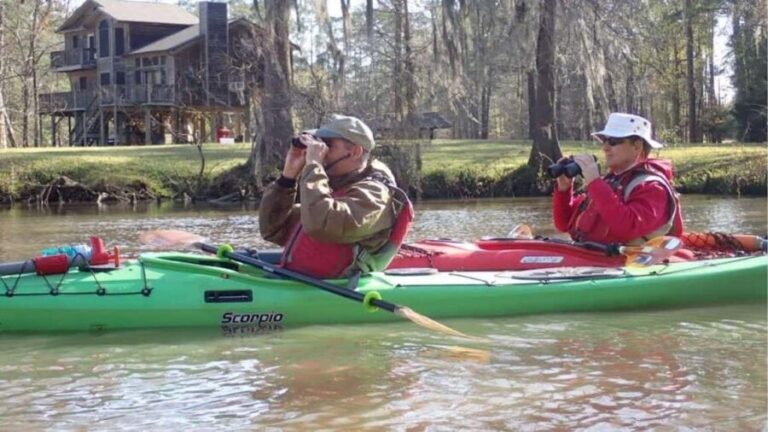 Houston: Luce Bayou Kayaking Tour - Why This Tour Stands Out