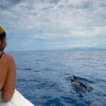 Huatulco: Awakening with Stars Dolphins Boat Cruise - Practical Details and Value