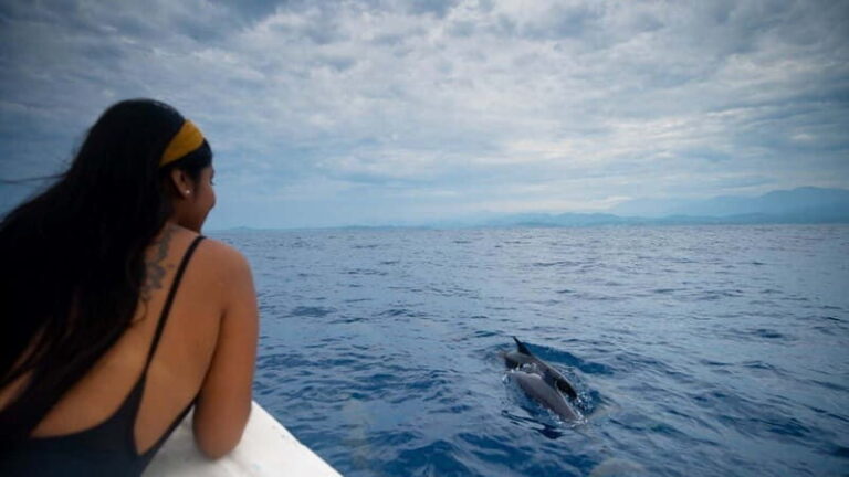 Huatulco: Awakening with Stars Dolphins Boat Cruise - Practical Details and Value