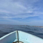 Huatulco: Private Tour Seven Bays HT - Practical Details & What to Expect