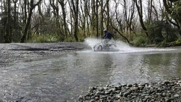 Humboldt: Electric Bike Rentals (4-Hour or Full Day options) - Exploring Humboldt with E-Bikes: A Closer Look
