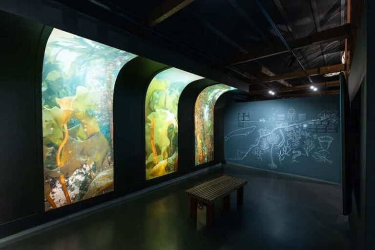 Húsavík: Whale Museum Entry Ticket - The Experience and What Youll Learn