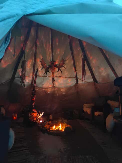 Husky Farm Visit with HuskySled Ride and Campfire - The Sum Up: Why This Tour Stands Out