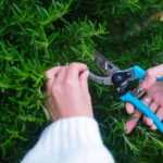 Hvar: Cooking Workshop with Locals & Farm-to-Table Meal - Practical Details and Considerations