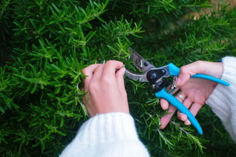 Hvar: Cooking Workshop with Locals & Farm-to-Table Meal - Practical Details and Considerations