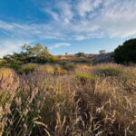 Hvar: Hidden Gems Tour - Exploring the Hidden Side of Hvar