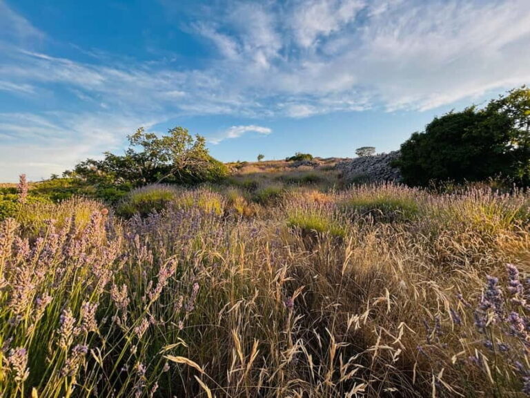 Hvar: Hidden Gems Tour - Exploring the Hidden Side of Hvar