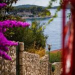 Hvar Walking Tour With Your Local Guide - Is This Tour Right for You?