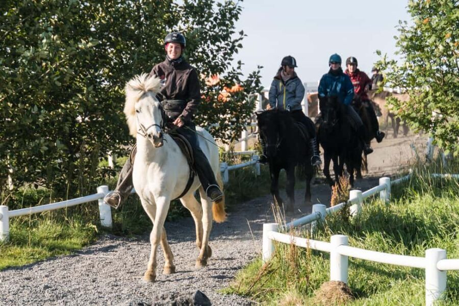 Hveragerdi: The Siggi Horse Riding Tour - An In-Depth Look at Hveragerdi: The Siggi Horse Riding Tour