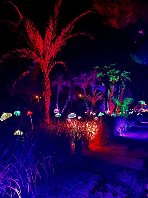 IBIZA: Astro Magic Lights at Bibo Park - Space Exploration Aboard Orion 4.0