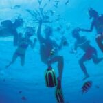 Ibiza: Formentera Trip w/ Paella, BBQ, Open Bar, Sports & DJ - The Value and Practicalities