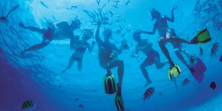 Ibiza: Formentera Trip w/ Paella, BBQ, Open Bar, Sports & DJ - The Value and Practicalities