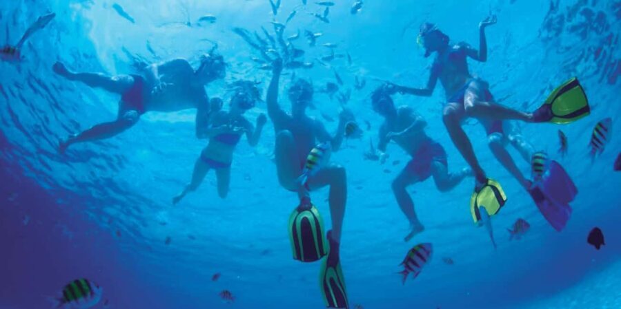 Ibiza: Formentera Trip w/ Paella, BBQ, Open Bar, Sports & DJ - The Value and Practicalities 