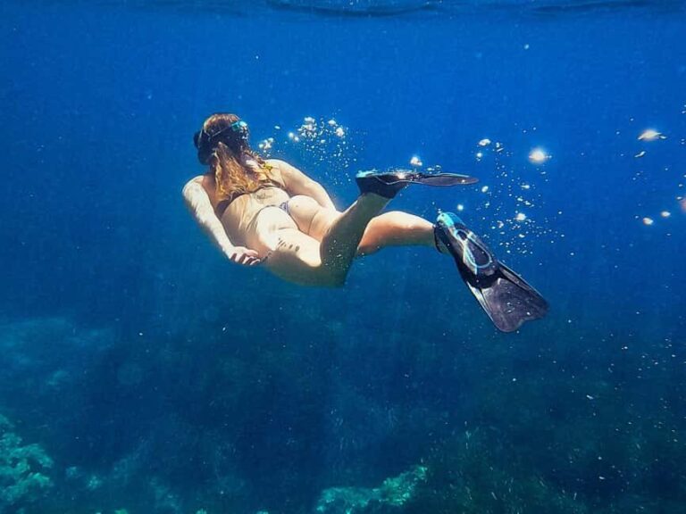 Ibiza: Guided Snorkeling Trip - The Itinerary Breakdown