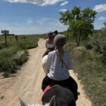Ibiza: Private Horseback Ride + Transport & Optional Picnic - Analyzing the Value: Is It Worth the Price?