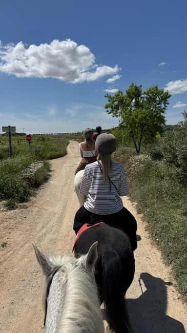 Ibiza: Private Horseback Ride + Transport & Optional Picnic - Analyzing the Value: Is It Worth the Price?