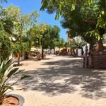 Ibiza shore excursion - Private tour - Why Choose This Ibiza Shore Excursion?