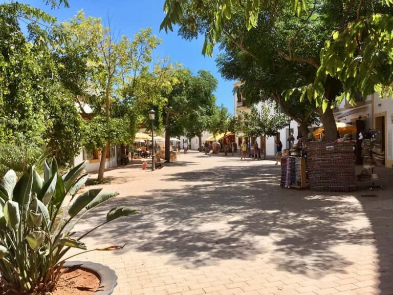 Ibiza shore excursion - Private tour - Why Choose This Ibiza Shore Excursion?