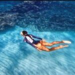 Ibiza: Tour of the island of Ibiza and swimming in Formentera - The Food and Drinks