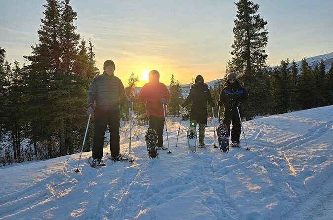 Ice Fishing and Aurora Extravaganza - Why this tour offers incredible value