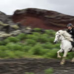 Iceland: Volcanic Landscape Horse Riding Tour - Meeting Point and Logistics