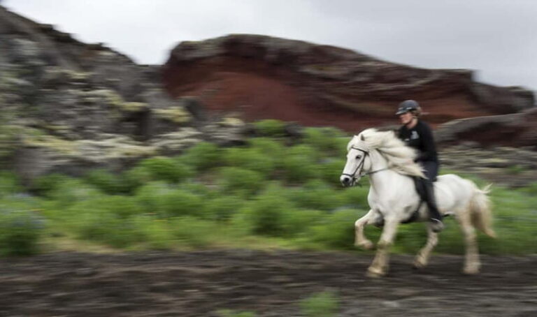 Iceland: Volcanic Landscape Horse Riding Tour - Meeting Point and Logistics