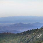 Idyllwild Day Tour - What Might Be a Drawback?