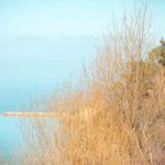 Ikaria Longevity: Forest Pilates, Monastery & Family Winery - Final Thoughts: Who Will Love This Tour?