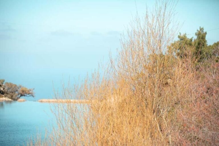 Ikaria Longevity: Forest Pilates, Monastery & Family Winery - Final Thoughts: Who Will Love This Tour?