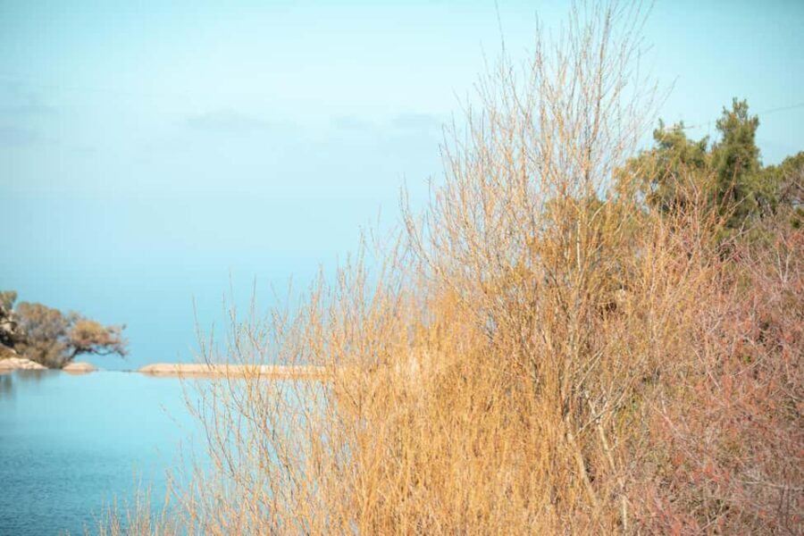 Ikaria Longevity: Forest Pilates, Monastery & Family Winery - Final Thoughts: Who Will Love This Tour?