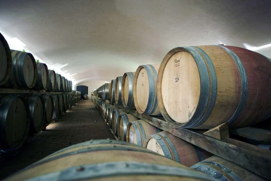 Il Molino di Grace: Vineyard & Cellar Tour with Wine Tasting - Practical Details & Tips