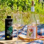 Il Molino di Grace: Vineyard Tour, Wine Tasting, and Picnic - Exploring the Itinerary