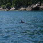 Enjoy paradise: Hidden Beach Snorkeling Adventure - Practical Details and Value for Money